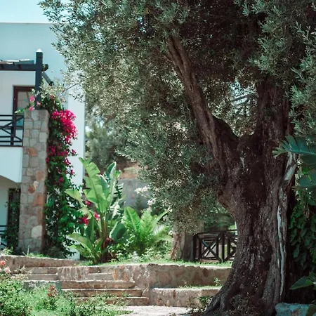 Amore Boutique Hotel-3